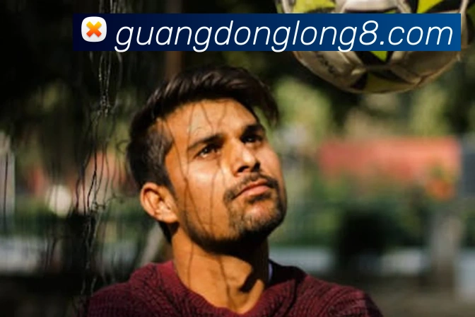 龙八APP 封面图